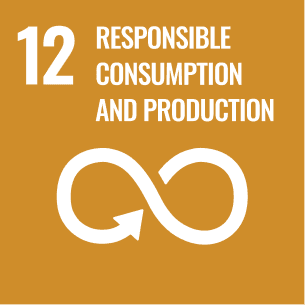 Sustainable Development Goal 12: Responsible Consumption and Production