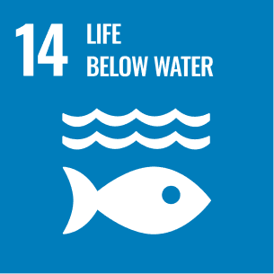 Sustainable Development Goal 14: Life Below Water