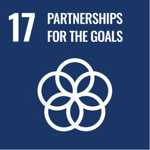 Sustainable Development Goal 17: Partnerships for the Goals
