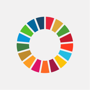 The 17 Sustainable Development Goals