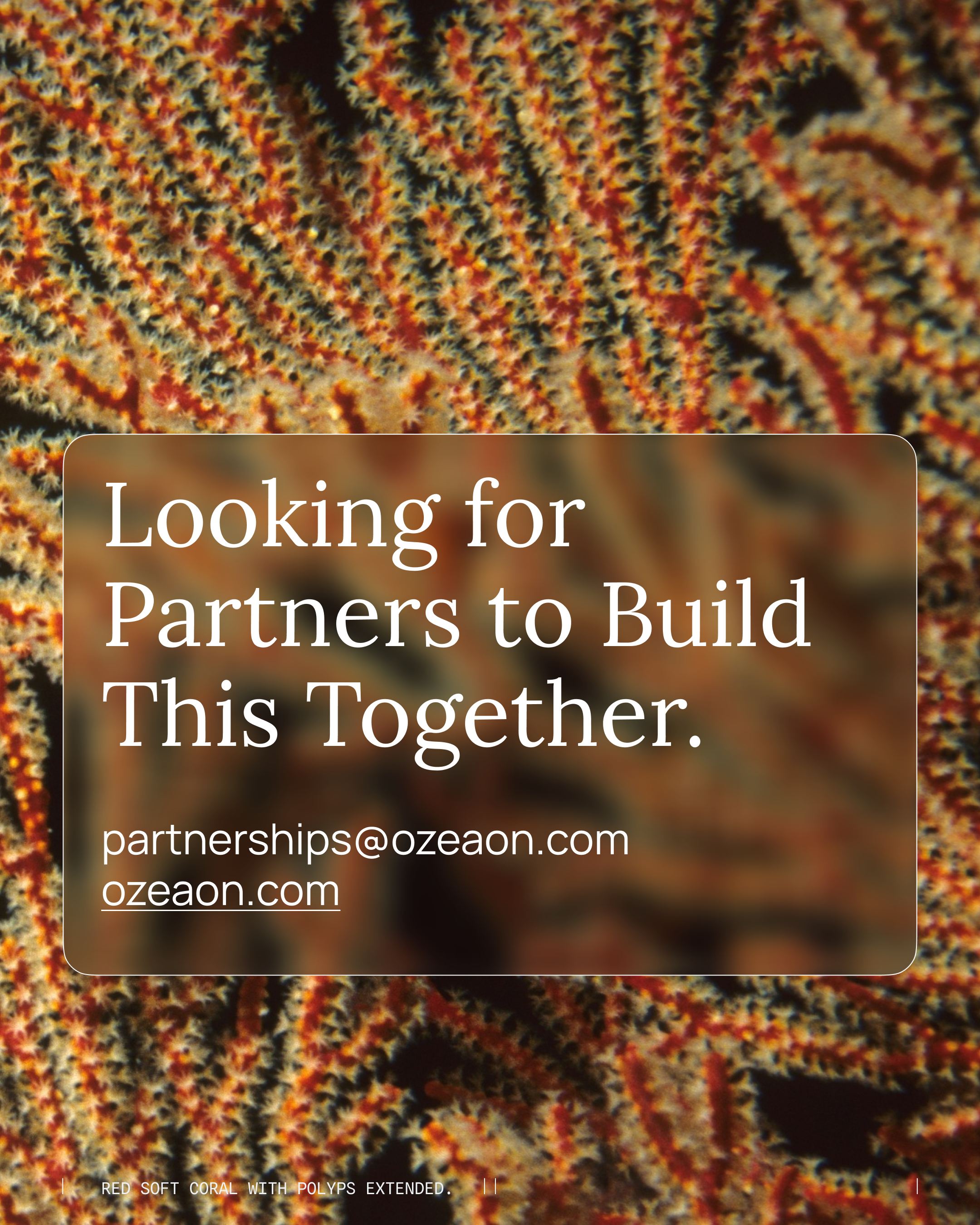 Looking for partners