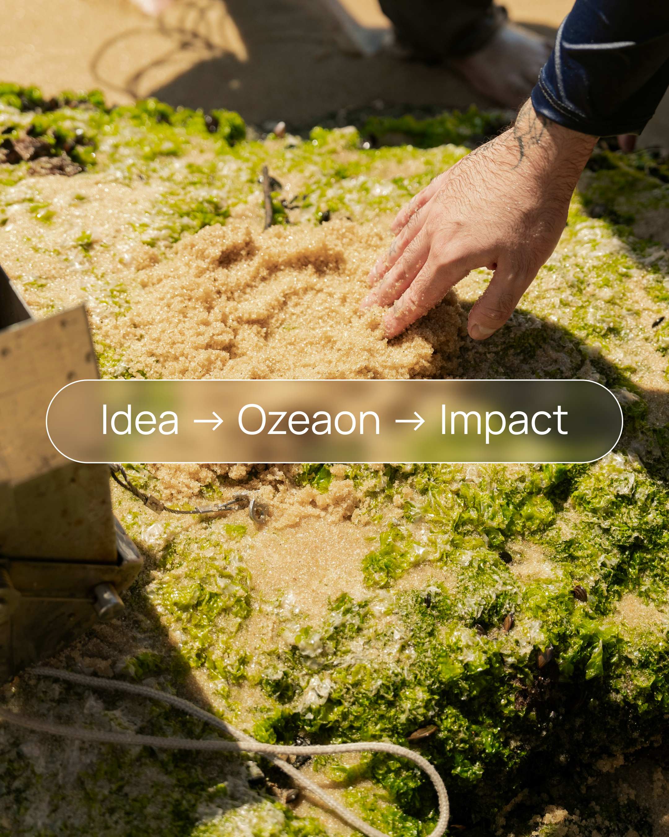Idea → Ozeaon → Impact