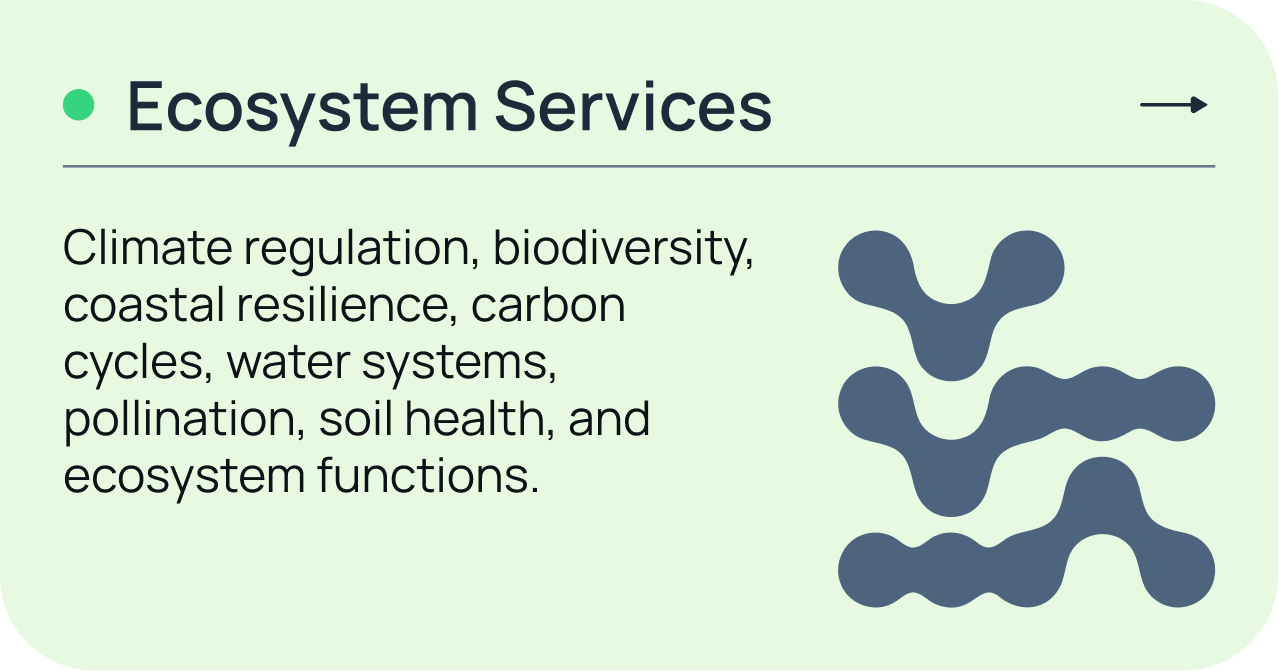 Ecosystem Services — climate regulation, biodiversity, coastal resilience, carbon cycles, water systems, pollination, soil health, and ecosystem functions.