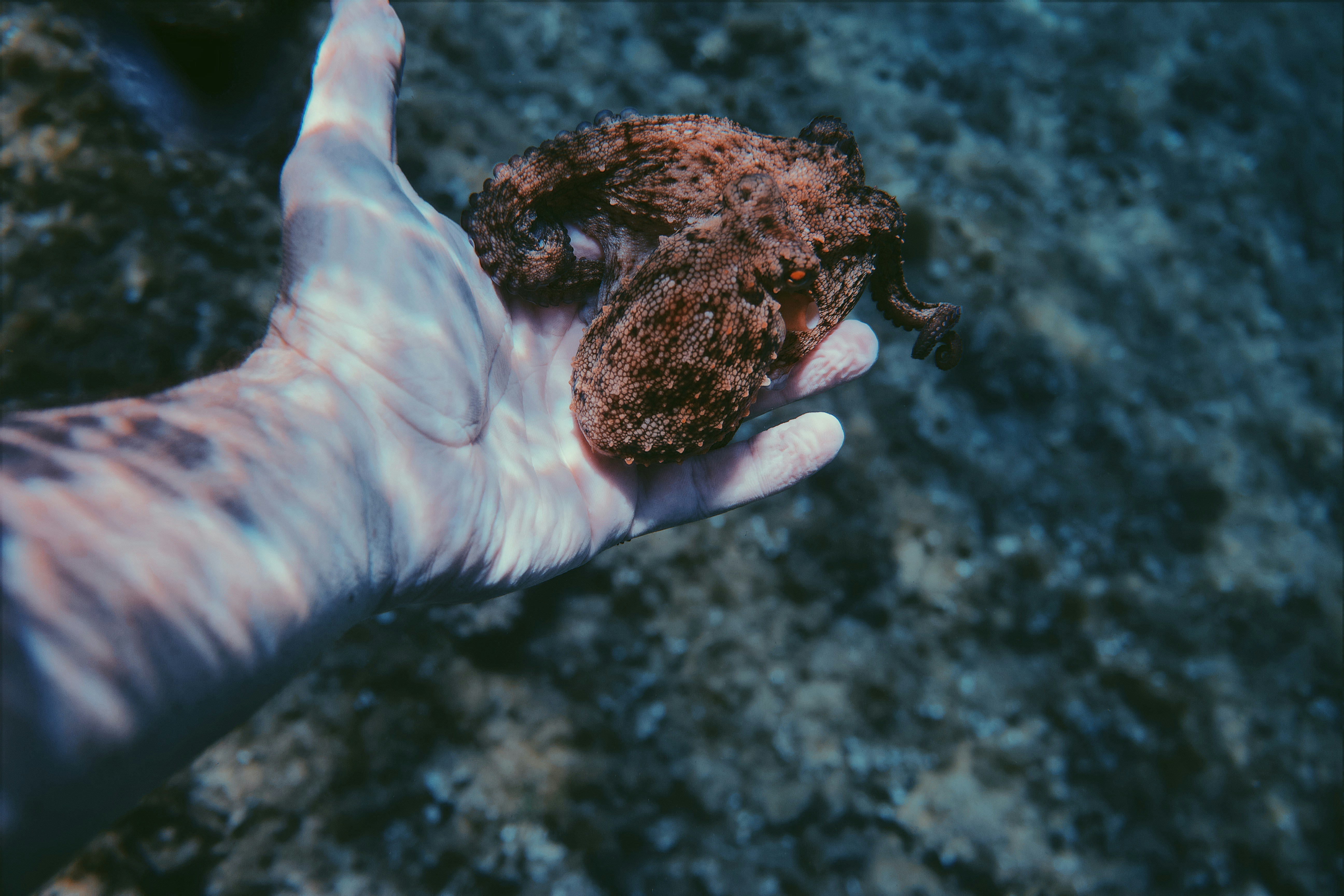 Contribute — regenerative innovation