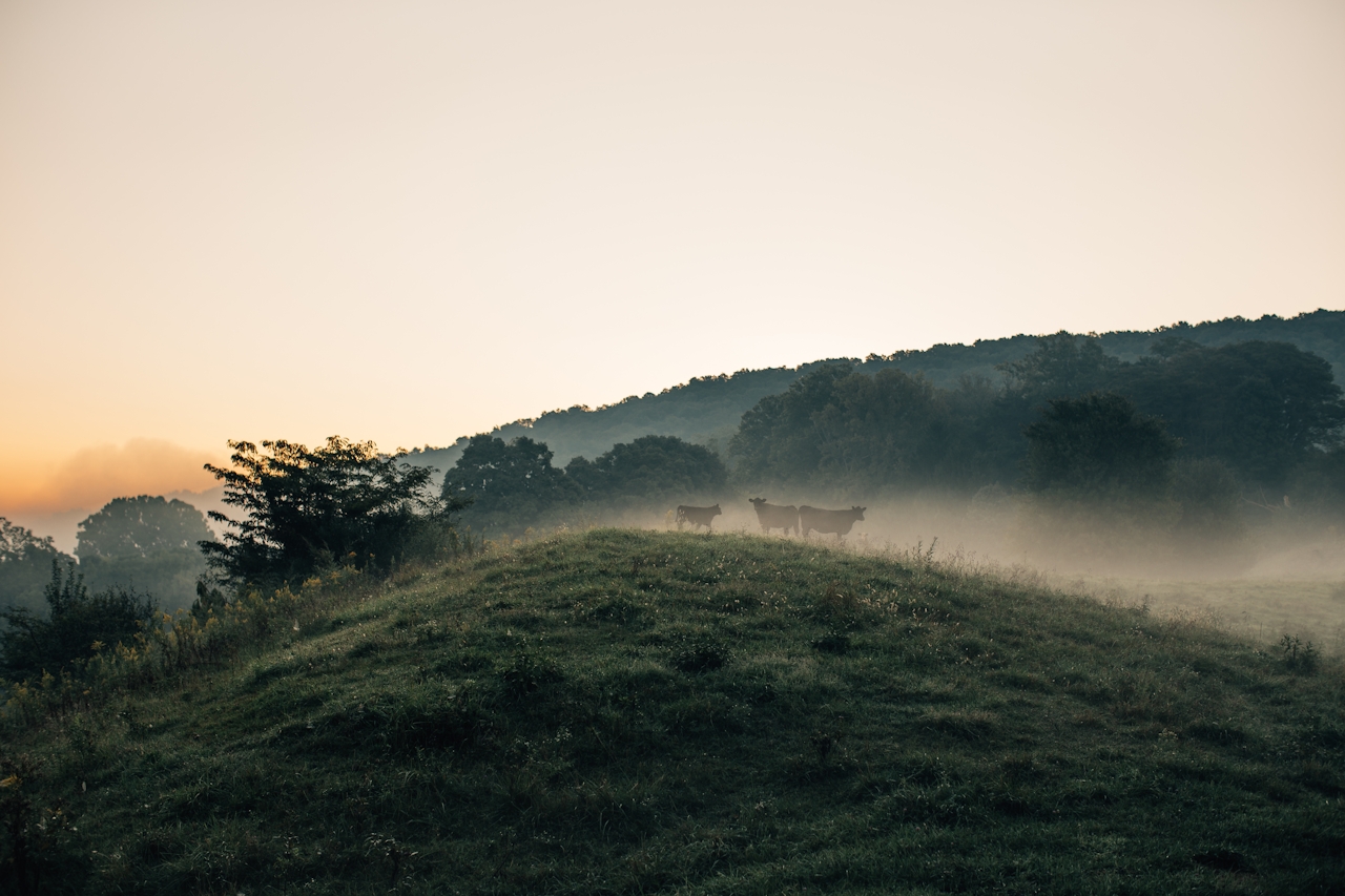 Land — regenerative systems